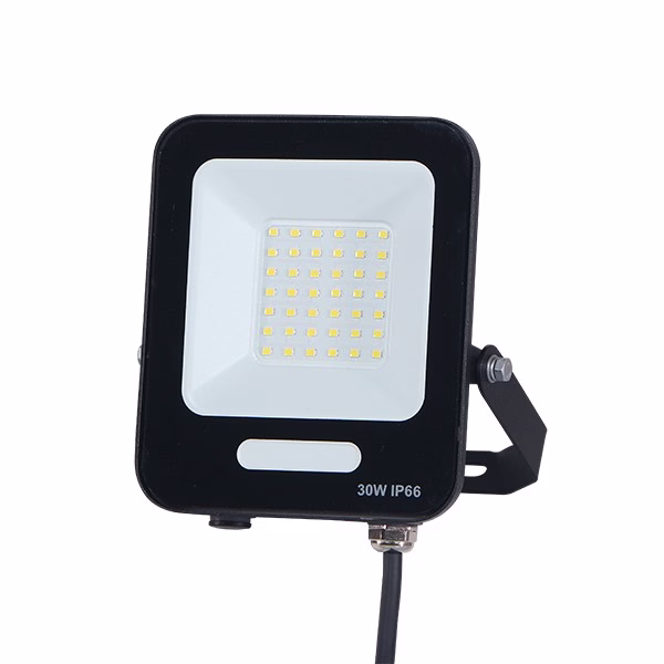 ΠΡΟΒΟΛΕΑΣ LED 30W SMD ΜΑΥΡΟΣ IP66 4000K PLUS 60cm ΚΑΛΩΔΙΟ 147-69805